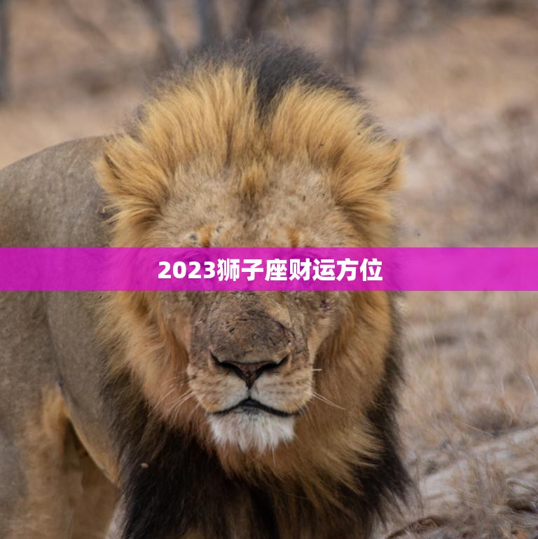 2023狮子座财运方位(展望财富之门即将敞开)  第3张