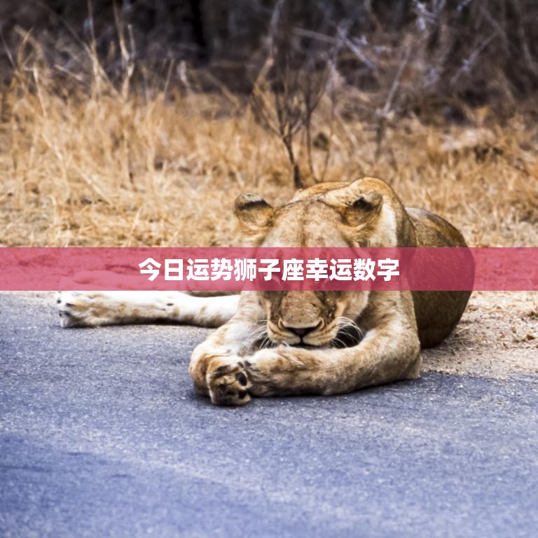 今日运势狮子座幸运数字(揭秘带来好运的数字是)  第3张