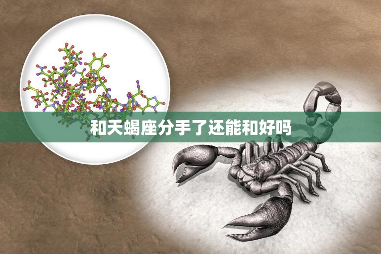 和天蝎座分手了还能和好吗(挽回爱情的秘诀)  第3张