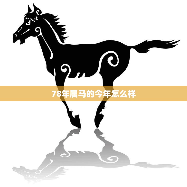 78年属马的今年怎么样(2023年运势分析)  第3张