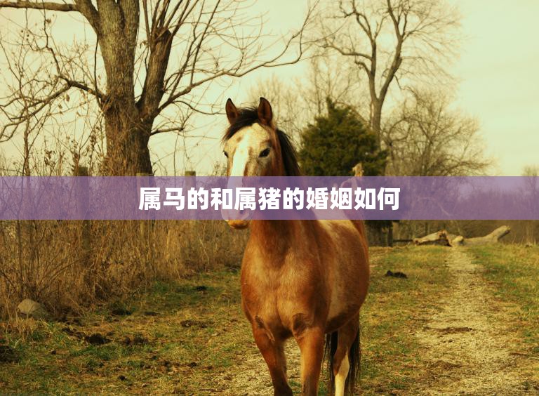 属马的和属猪的婚姻如何(星座配对分析)  第3张