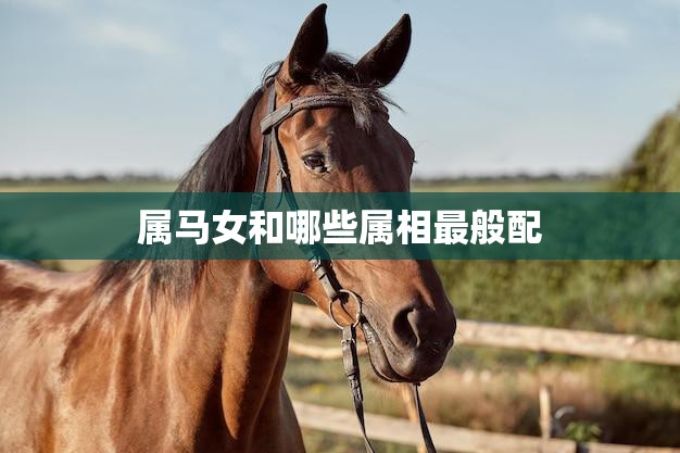 属马女和哪些属相最般配(十二生肖配对指南)  第3张