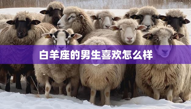 白羊座的男生喜欢怎么样(探秘白羊座男生的爱情心理)  第3张