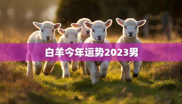 白羊今年运势2023男(顺风顺水财运亨通)  第3张