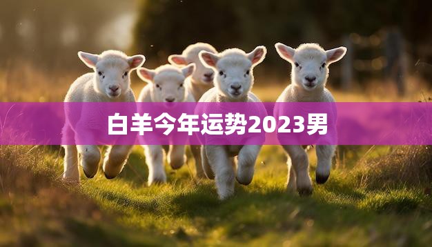 白羊今年运势2023男(顺风顺水财运亨通)