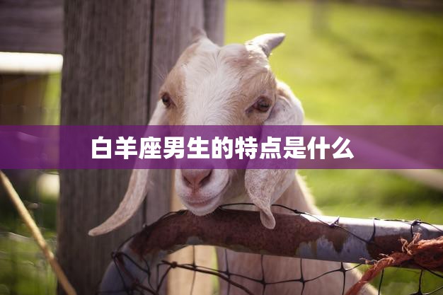 白羊座男生的特点是什么(探究白羊男的性格特质)  第3张