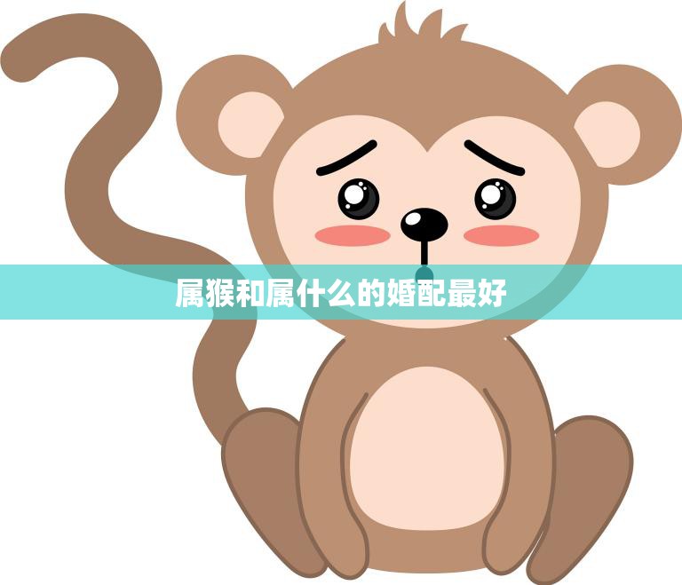 属猴和属什么的婚配最好(如何选择最佳婚配对象)  第3张