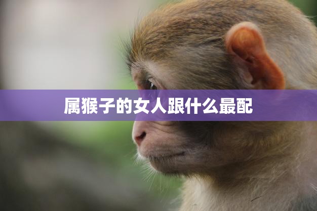 属猴子的女人跟什么最配(寻找最佳配对)  第3张