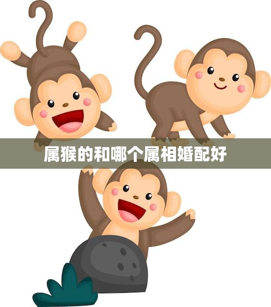 属猴的和哪个属相婚配好(最佳婚配指南)  第3张
