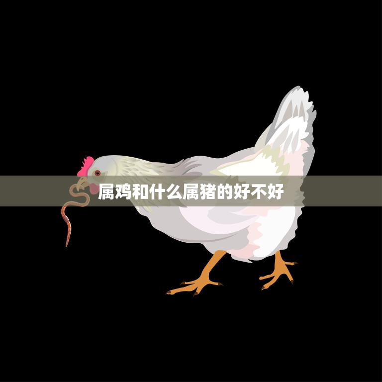 属鸡和什么属猪的好不好(如何选择最佳的生肖配对)  第3张