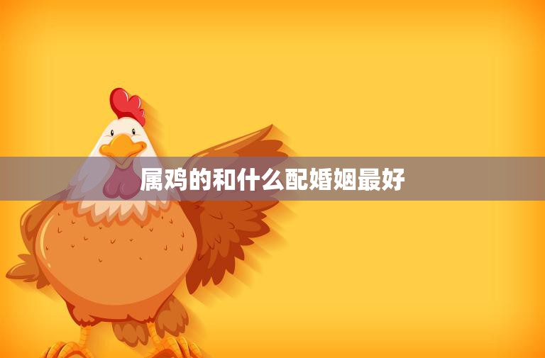 属鸡的和什么配婚姻最好(如何选择最佳婚姻对象)  第3张