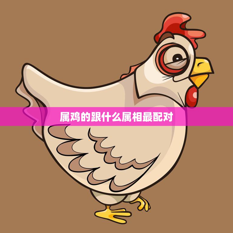 属鸡的跟什么属相最配对(揭秘十二生肖中最佳组合)  第3张