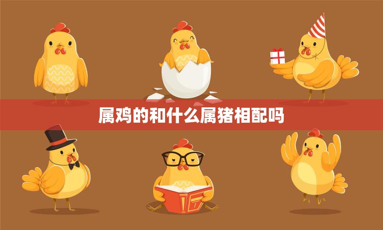 属鸡的和什么属猪相配吗(最佳配对指南)  第3张