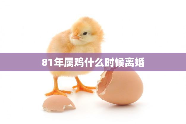 81年属鸡什么时候离婚(如何预测)  第3张