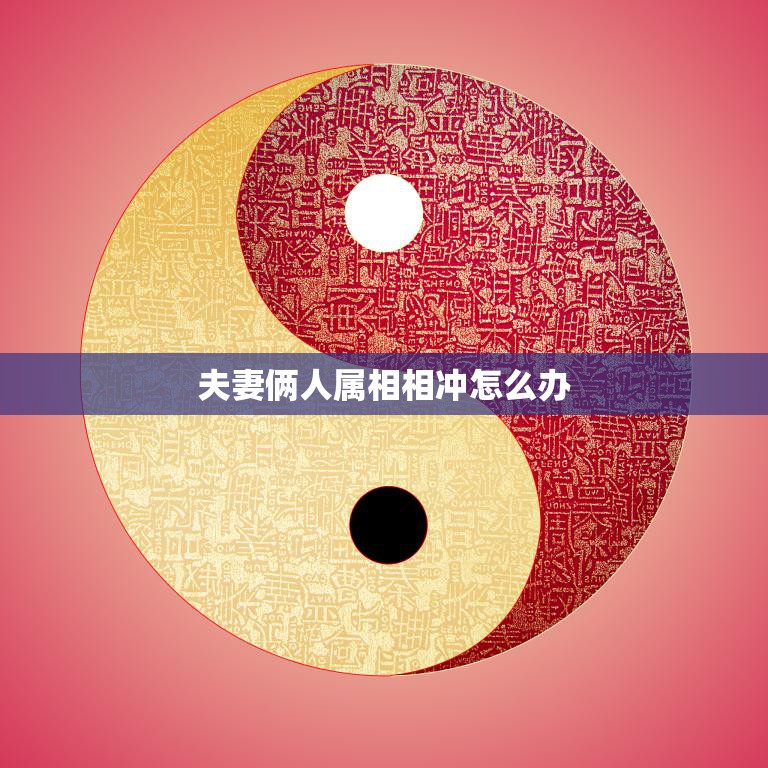 夫妻俩人属相相冲怎么办(化解属相冲突让婚姻更美满)  第3张