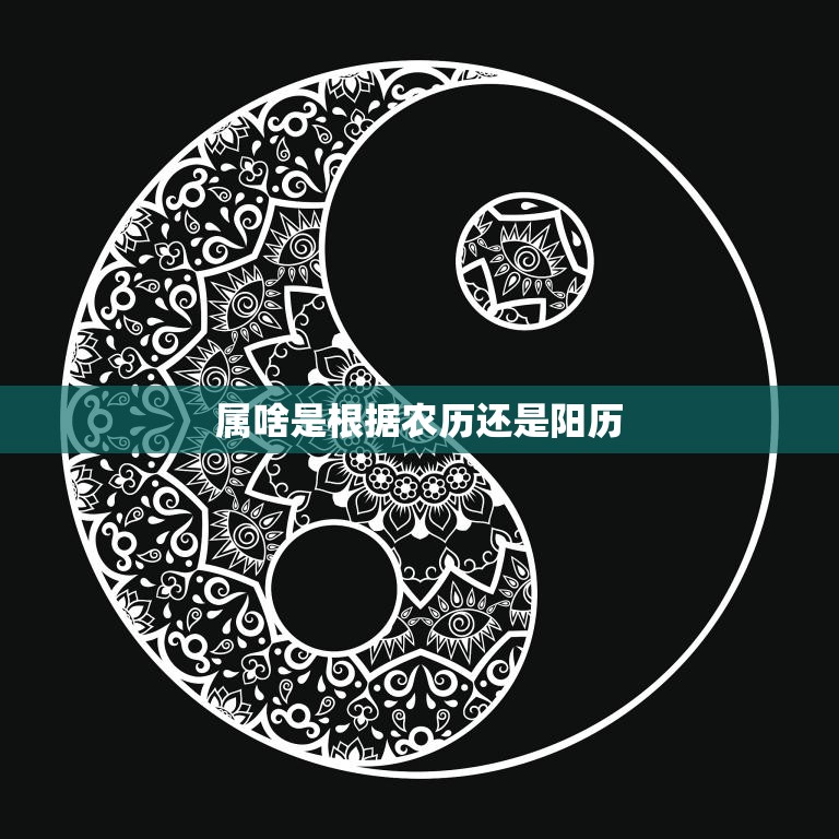属啥是根据农历还是阳历(如何确定你的生肖)  第3张