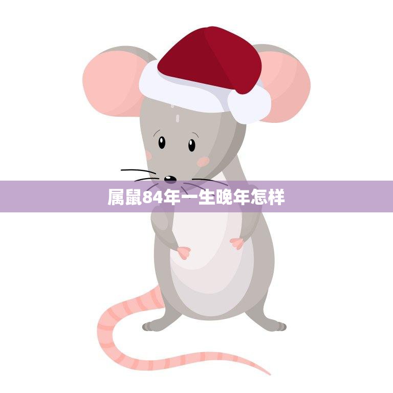 属鼠84年一生晚年怎样(如何度过幸福晚年)  第3张