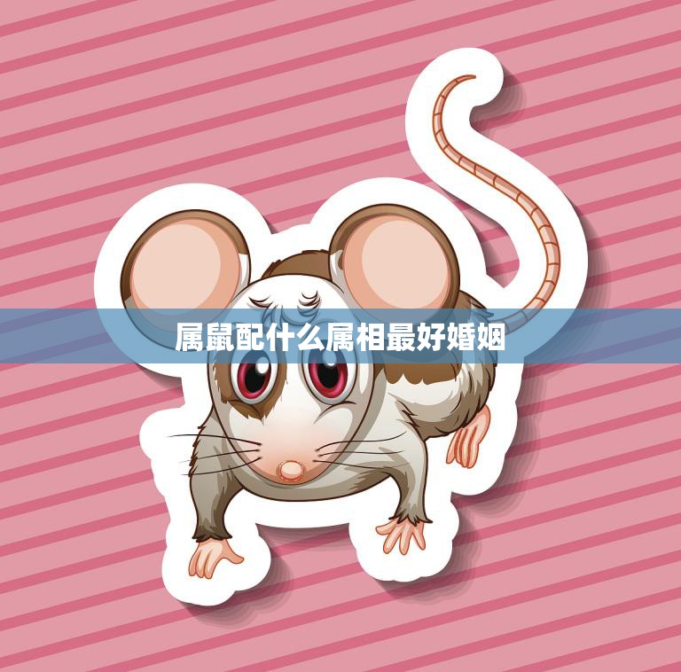 属鼠配什么属相最好婚姻(寻找最佳配对)  第3张