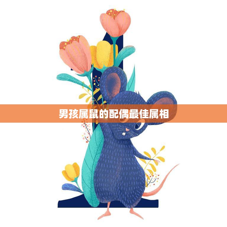 男孩属鼠的配偶最佳属相(如何选择)  第3张