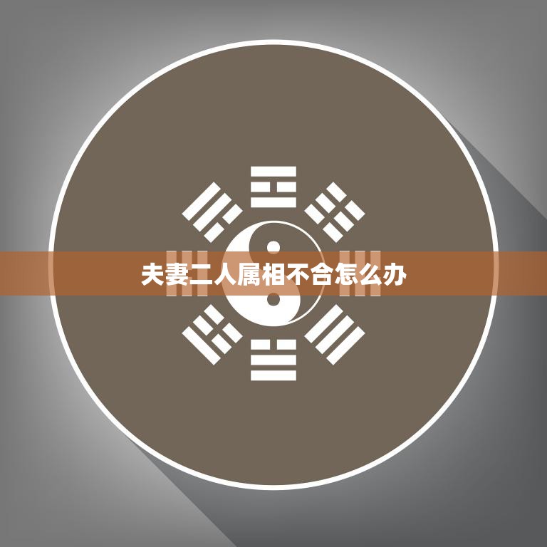 夫妻二人属相不合怎么办(解决方法大揭秘)  第3张