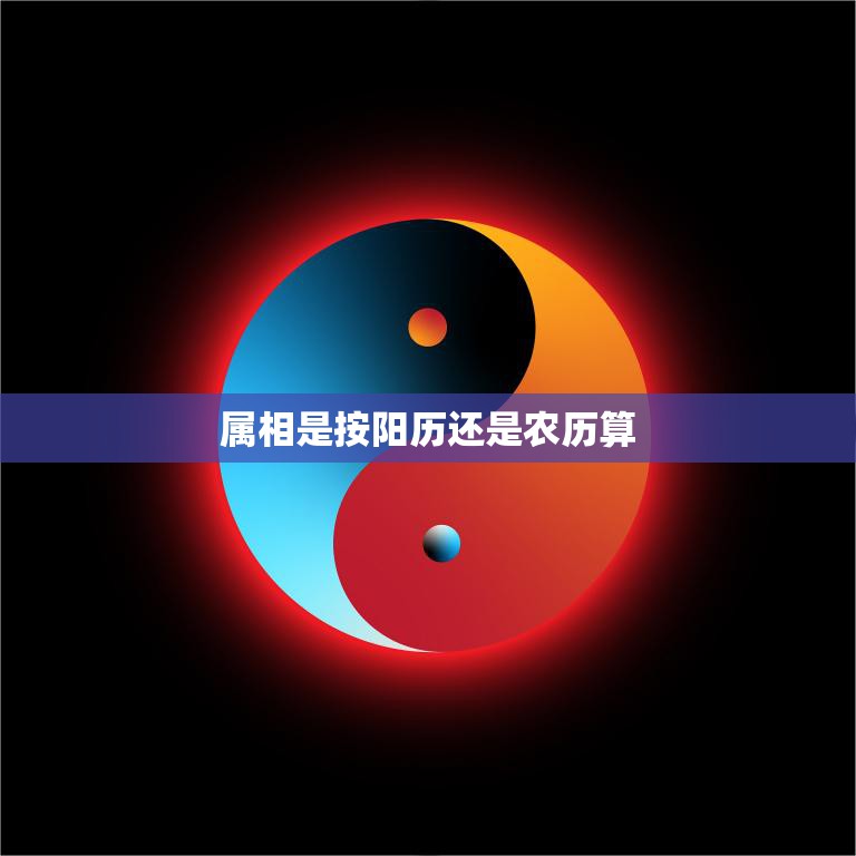 属相是按阳历还是农历算(如何确定你的生肖)  第3张