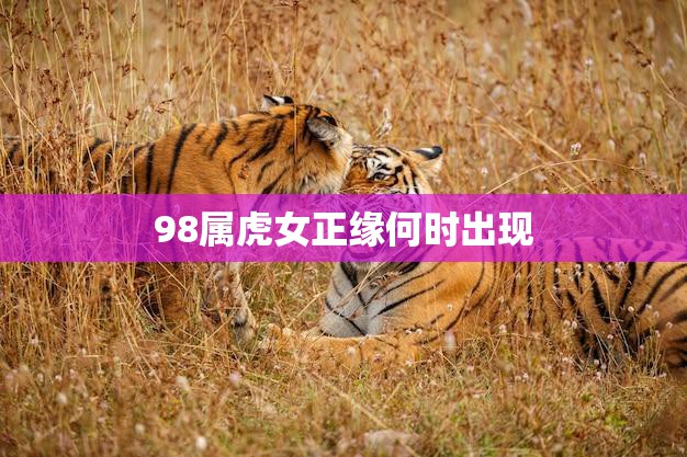 98属虎女正缘何时出现(寻找真爱的时刻已经到来)  第3张