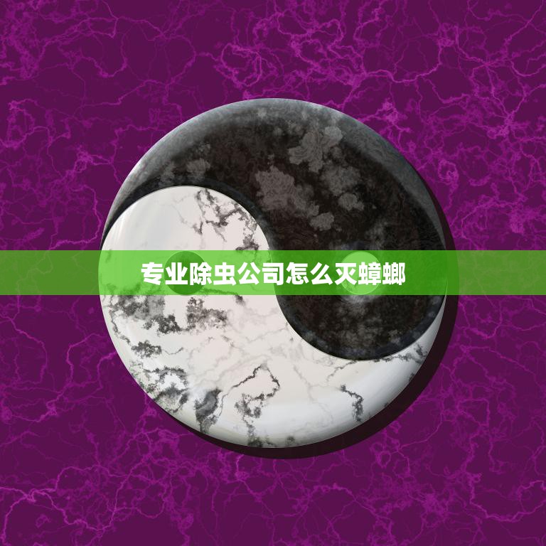 专业除虫公司怎么灭蟑螂(高效解决家中蟑螂问题)  第3张