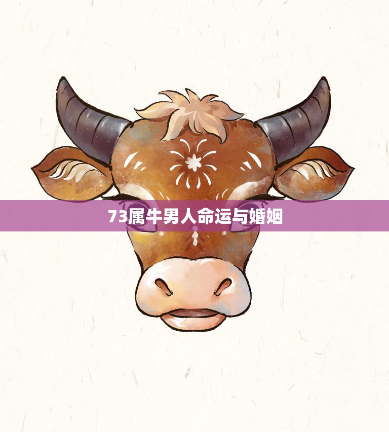 73属牛男人命运与婚姻(如何避免婚姻危机)  第3张
