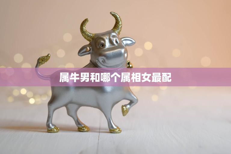 属牛男和哪个属相女最配(十二生肖配对大揭秘)  第3张