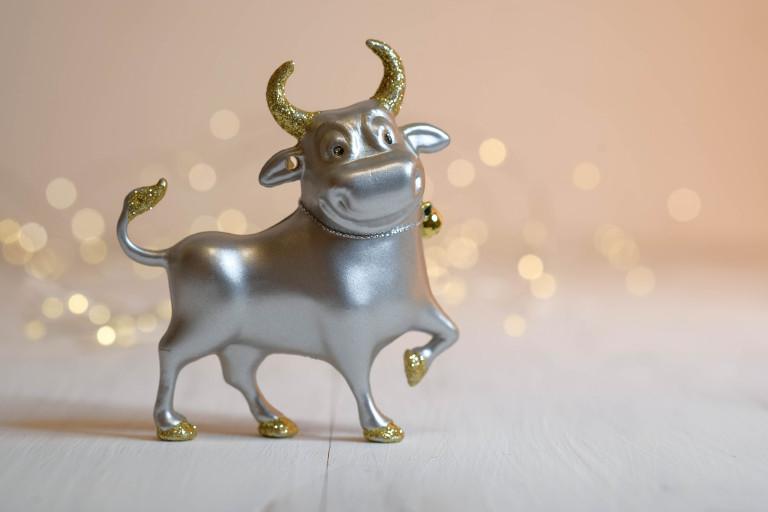 属牛今年的感情如何样啊(2023年属牛人感情运势大揭秘)  第1张