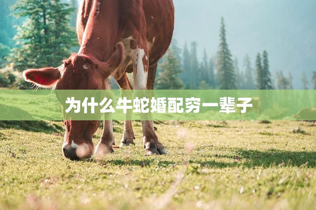 为什么牛蛇婚配穷一辈子(解析牛蛇婚配的原因)  第3张