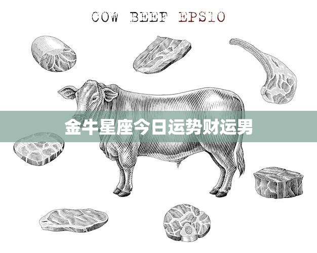 金牛星座今日运势财运男(财运亨通收获满满)  第3张