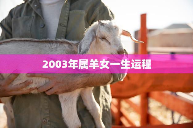 2003年属羊女一生运程(幸运之星照耀前途光明)  第3张