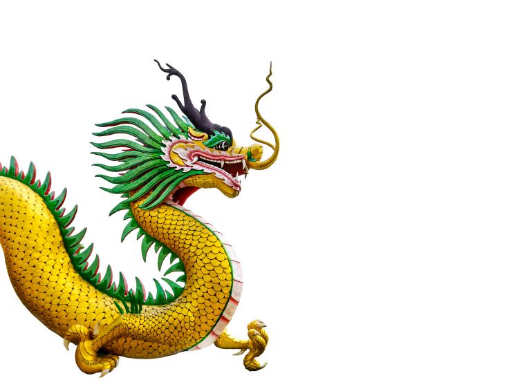 2024年龙年新木：传统与现代的碰撞，校园文化引发全新火花  第2张